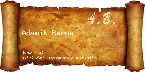 Adamik Barna névjegykártya